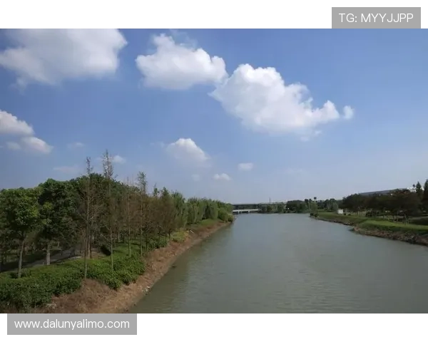 掌握尊龙Z6拍照技巧，轻松拍出专业级的摄影作品