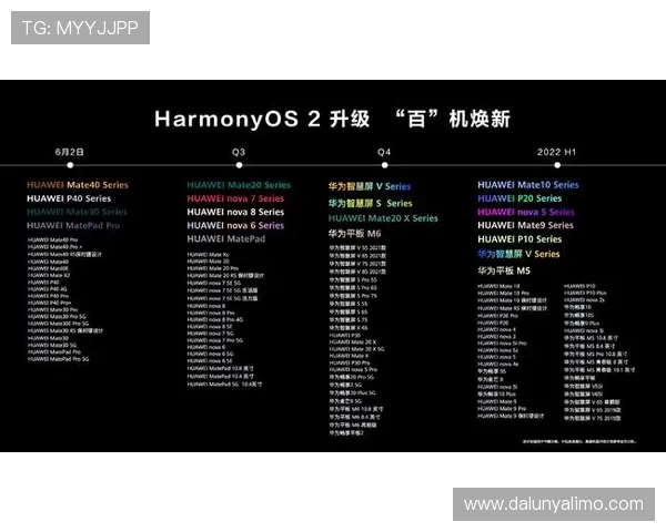 探索Z6尊龙正规网址的用户体验与功能特点