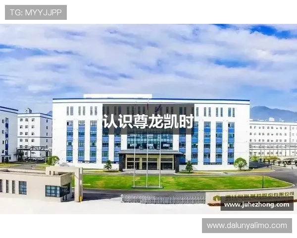 凯时尊龙安全保障措施全揭秘，保障玩家资金安全与个人信息隐私